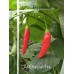 Aji Ethiopian Fire Pepper Seeds