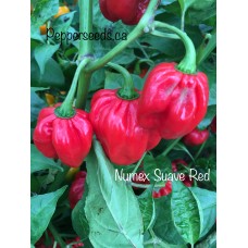 Numex Suave Red Pepper Seeds