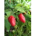 Grif 9245 Pepper Seeds Grif 9245 Pepper Seeds