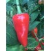 PI 427-291 Pepper Seeds