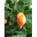 BOC x AJi Pineapple Orange  Pepper Seeds 