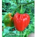 Numex Suave Red Pepper Seeds