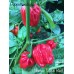 Numex Suave Red Pepper Seeds