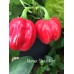 Numex Suave Red Pepper Seeds