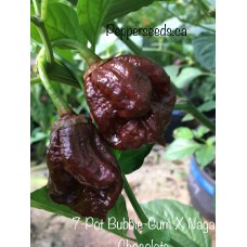 7-Pot Bubble-Gum X Naga Chocolate Pepper Seeds