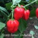 Scotch Bonnet Trinidad Red Pepper Seeds