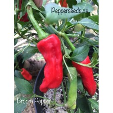 Broom Pepper Seeds