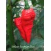 kraken Scorpion Red Pepper Seeds 