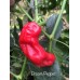 Broom Pepper Seeds