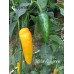 Golden Cayenne Pepper Seeds Golden Cayenne Pepper Seeds