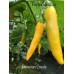 Peruvian Creole Pepper Seeds 