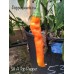 Sili A Top Pepper Seeds Sili A Top Pepper Seeds