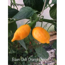 Baum Chilli Orange Pepper Seeds Baum Chilli Orange Pepper Seeds