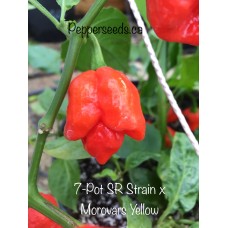 7-Pot SR Strain x Morovars Pepper Seeds