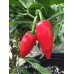 Cap 1428 Pepper Seeds