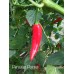 Peruvian Pointer Pepper Seeds