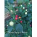 Pimento Barro do Rideiro Pepper Seeds Pimento Barro do Rideiro Pepper Seeds