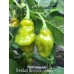 Trinidad Scorpion Green Pepper Seeds 