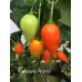 Peruviano Arancio Pepper Seeds