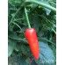 Cap 1428 Pepper Seeds