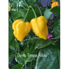 Devils Tongue Yellow Pepper Seeds 