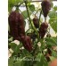 7-Pot Brown Long Pepper Seeds 