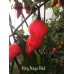 King Naga Red Pepper Seeds King Naga Red Pepper Seeds