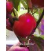 Alma Papricka Pepper