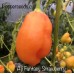 Aji Fantasy Strawberry Pepper Seeds 