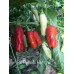 Rio Pejivalle Hot Pepper Seeds 