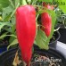 Georgia Flame Pepper Seeds