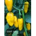 BRMX Yellow Pepper Seeds 