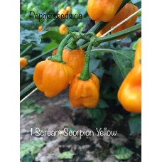 I Scream Scorpion Yellow Pepper Seeds I Scream Scorpion Yellow Pepper Seeds