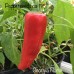 Georgia Flame Pepper Seeds