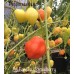 Aji Fantasy Strawberry Pepper Seeds 