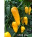 BRMX Yellow Pepper Seeds 