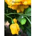 Bhut Jolokia x 7-Pot BBG Huge Yellow Pepper Seeds Bhut Jolokia x 7-Pot BBG Huge Yellow Pepper Seeds