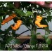 APS Yellow/Orange Pepper Seeds APS Yellow/Orange Pepper Seeds