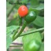 CAP 214 Pepper Seeds 