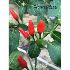 Cap 1149 Pepper Seeds