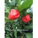 Stuffing Scotch Bonnet Pepper Seeds Stuffing Scotch Bonnet Pepper Seeds