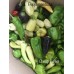 Cheap Sweet Annuum Pepper Seeds Cheap Sweet Annuum Pepper Seeds