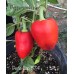 Perla Cap 574 Pepper Seeds Perla Cap 574 Pepper Seeds