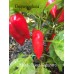 Manbi Sweet Habanero Pepper Seeds 
