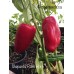 Shepards Ram Horn Pepper Seeds Shepards Ram Horn Pepper Seeds