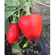 Perla Cap 574 Pepper Seeds Perla Cap 574 Pepper Seeds