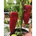 Marconi Red Pepper Seeds Marconi Red Pepper Seeds
