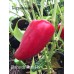 Shepards Ram Horn Pepper Seeds Shepards Ram Horn Pepper Seeds