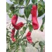 Aji Santa Cruz Pepper Seeds 