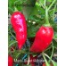 Manbi Sweet Habanero Pepper Seeds 
